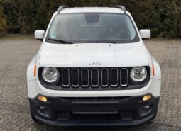 
										Jeep Renegade full									