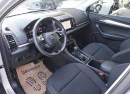 
										Skoda Karoq full									