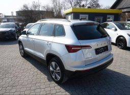 
										Skoda Karoq full									