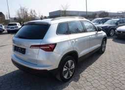 
										Skoda Karoq full									