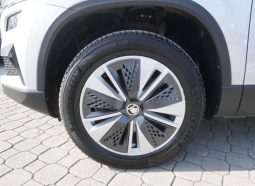 
										Skoda Karoq full									