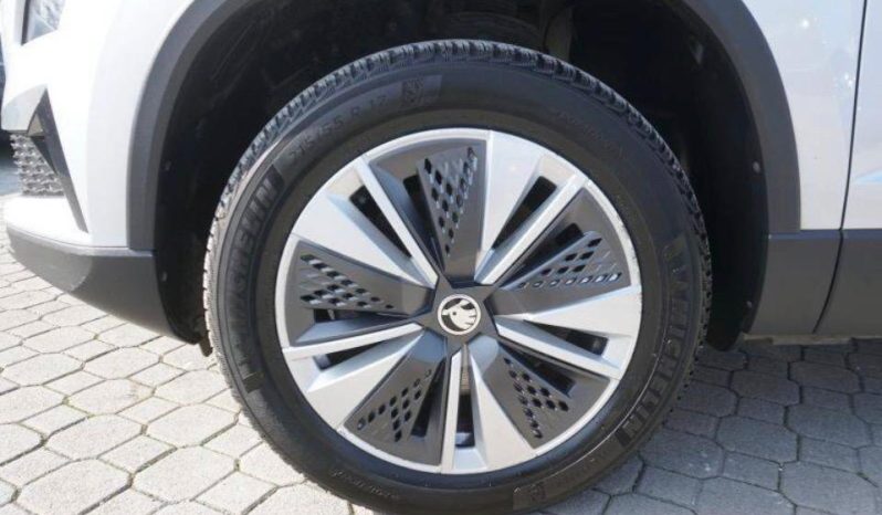 
								Skoda Karoq full									