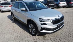 
										Skoda Karoq full									